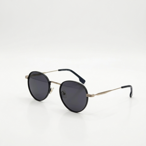 Carerra Sunglasses